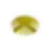 Grit Guard